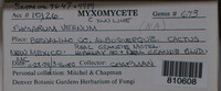 Image Associated With the Occurence